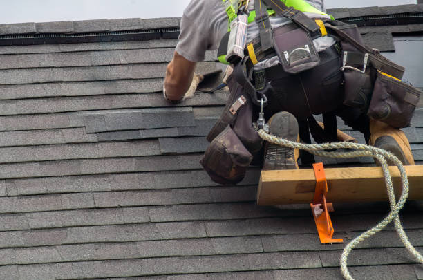 Best Storm Damage Roof Repair  in Nesquehoning, PA