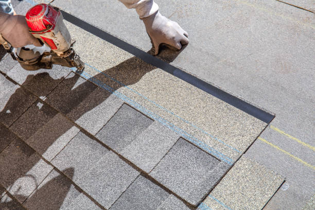 Best Shingle Roofing Installation  in Nesquehoning, PA