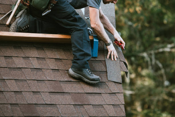 Best Shingle Roofing Installation  in Nesquehoning, PA